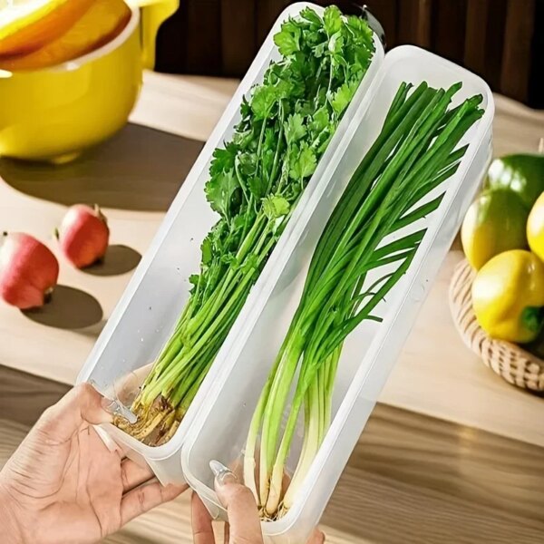 Boîte de Conservation des Aliments – Rangement Hermétique Transparent pour Réfrigérateur
