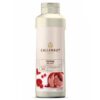 Callebaut Garniture  Cassis & Framboises - 1kg